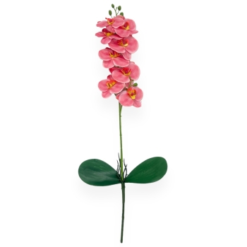 Fir Orhidee cu 2 Frunze Roze cu Galben